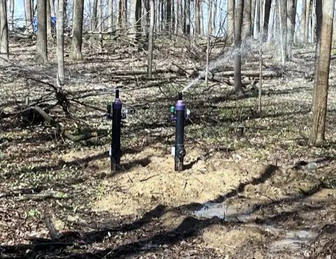 spray system working in a tree line